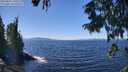 ./images/koeye/fitz-hugh/20250822/fitz-hugh20250822_130507M.jpg
