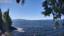 ./images/koeye/fitz-hugh/20250822/fitz-hugh20250822_131011M.jpg