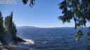 ./images/koeye/fitz-hugh/20250822/fitz-hugh20250822_131512M.jpg