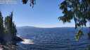 ./images/koeye/fitz-hugh/20250822/fitz-hugh20250822_132513M.jpg