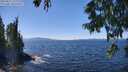 ./images/koeye/fitz-hugh/20250822/fitz-hugh20250822_133011M.jpg