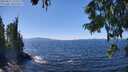 ./images/koeye/fitz-hugh/20250822/fitz-hugh20250822_133510M.jpg