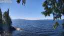 ./images/koeye/fitz-hugh/20250822/fitz-hugh20250822_134011M.jpg