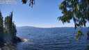 ./images/koeye/fitz-hugh/20250822/fitz-hugh20250822_134509M.jpg