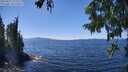 ./images/koeye/fitz-hugh/20250822/fitz-hugh20250822_135510M.jpg