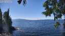 ./images/koeye/fitz-hugh/20250822/fitz-hugh20250822_140011M.jpg