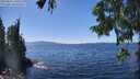 ./images/koeye/fitz-hugh/20250822/fitz-hugh20250822_140509M.jpg