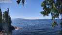 ./images/koeye/fitz-hugh/20250822/fitz-hugh20250822_141008M.jpg