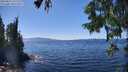 ./images/koeye/fitz-hugh/20250822/fitz-hugh20250822_141510M.jpg