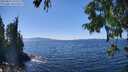 ./images/koeye/fitz-hugh/20250822/fitz-hugh20250822_142010M.jpg