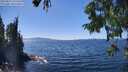./images/koeye/fitz-hugh/20250822/fitz-hugh20250822_142512M.jpg