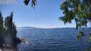 ./images/koeye/fitz-hugh/20250822/fitz-hugh20250822_143012M.jpg