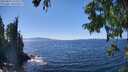 ./images/koeye/fitz-hugh/20250822/fitz-hugh20250822_143509M.jpg
