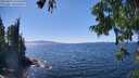 ./images/koeye/fitz-hugh/20250822/fitz-hugh20250822_144511M.jpg