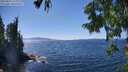 ./images/koeye/fitz-hugh/20250822/fitz-hugh20250822_145011M.jpg