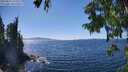 ./images/koeye/fitz-hugh/20250822/fitz-hugh20250822_145507M.jpg