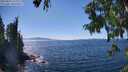 ./images/koeye/fitz-hugh/20250822/fitz-hugh20250822_150010M.jpg