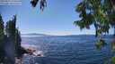 ./images/koeye/fitz-hugh/20250822/fitz-hugh20250822_150510M.jpg
