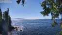 ./images/koeye/fitz-hugh/20250822/fitz-hugh20250822_151011M.jpg