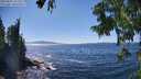 ./images/koeye/fitz-hugh/20250822/fitz-hugh20250822_151508M.jpg