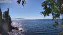 ./images/koeye/fitz-hugh/20250822/fitz-hugh20250822_152010M.jpg
