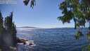 ./images/koeye/fitz-hugh/20250822/fitz-hugh20250822_152513M.jpg