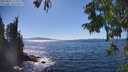 ./images/koeye/fitz-hugh/20250822/fitz-hugh20250822_153510M.jpg