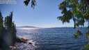 ./images/koeye/fitz-hugh/20250822/fitz-hugh20250822_154010M.jpg