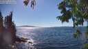 ./images/koeye/fitz-hugh/20250822/fitz-hugh20250822_154510M.jpg