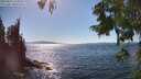./images/koeye/fitz-hugh/20250822/fitz-hugh20250822_155011M.jpg