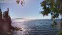 ./images/koeye/fitz-hugh/20250822/fitz-hugh20250822_155510M.jpg
