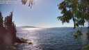 ./images/koeye/fitz-hugh/20250822/fitz-hugh20250822_160012M.jpg