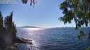 ./images/koeye/fitz-hugh/20250822/fitz-hugh20250822_160510M.jpg
