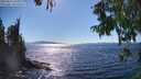 ./images/koeye/fitz-hugh/20250822/fitz-hugh20250822_161010M.jpg