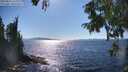 ./images/koeye/fitz-hugh/20250822/fitz-hugh20250822_162010M.jpg