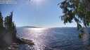 ./images/koeye/fitz-hugh/20250822/fitz-hugh20250822_162511M.jpg
