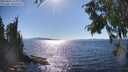 ./images/koeye/fitz-hugh/20250822/fitz-hugh20250822_163011M.jpg