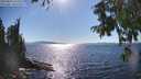 ./images/koeye/fitz-hugh/20250822/fitz-hugh20250822_163510M.jpg