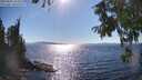 ./images/koeye/fitz-hugh/20250822/fitz-hugh20250822_164011M.jpg