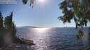 ./images/koeye/fitz-hugh/20250822/fitz-hugh20250822_164511M.jpg