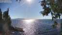 ./images/koeye/fitz-hugh/20250822/fitz-hugh20250822_165011M.jpg