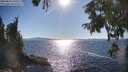 ./images/koeye/fitz-hugh/20250822/fitz-hugh20250822_170509M.jpg