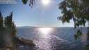 ./images/koeye/fitz-hugh/20250822/fitz-hugh20250822_171011M.jpg