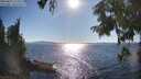 ./images/koeye/fitz-hugh/20250822/fitz-hugh20250822_171509M.jpg