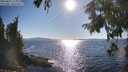 ./images/koeye/fitz-hugh/20250822/fitz-hugh20250822_173012M.jpg
