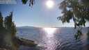 ./images/koeye/fitz-hugh/20250822/fitz-hugh20250822_173510M.jpg