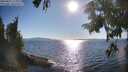 ./images/koeye/fitz-hugh/20250822/fitz-hugh20250822_174011M.jpg