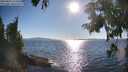 ./images/koeye/fitz-hugh/20250822/fitz-hugh20250822_174510M.jpg