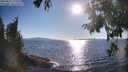 ./images/koeye/fitz-hugh/20250822/fitz-hugh20250822_175510M.jpg