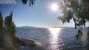 ./images/koeye/fitz-hugh/20250822/fitz-hugh20250822_180014M.jpg